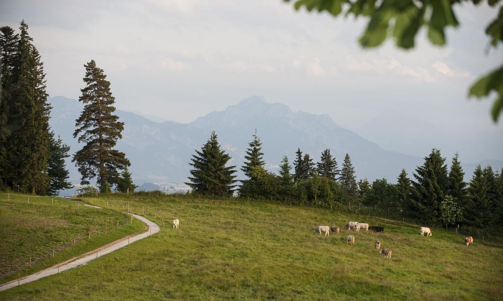 Panoramagasthof Auf Dem Auerberg Hotel 3*