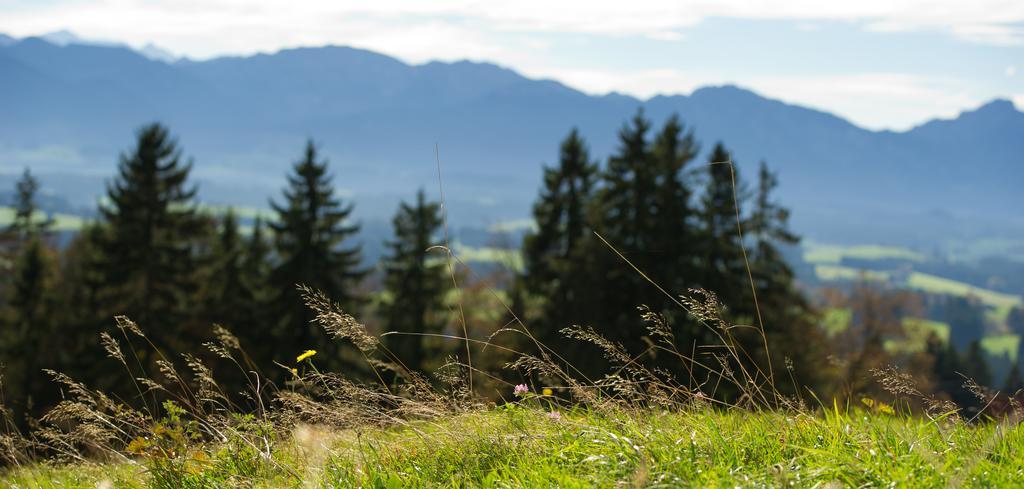 Hotel Panoramagasthof Auf Dem Auerberg 3*